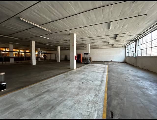1,000M² WAREHOUSE TO LET IN WYNBERG
